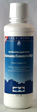 Glucosamine / Chondroitin/MSM