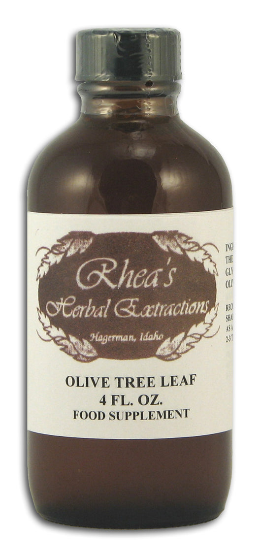 Olive Tree Leaf