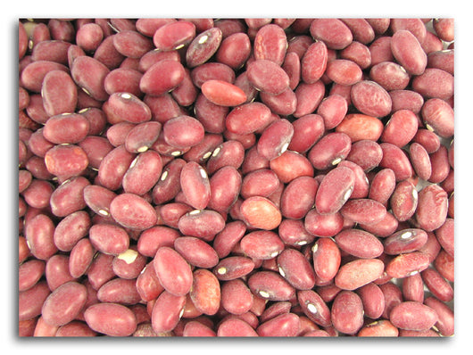 Red Beans, Small, Organic