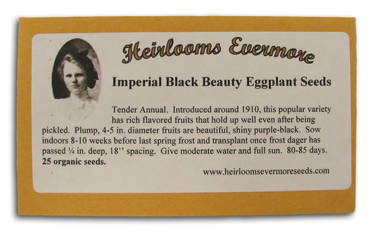 Imperial Black Beauty Eggplant Seeds