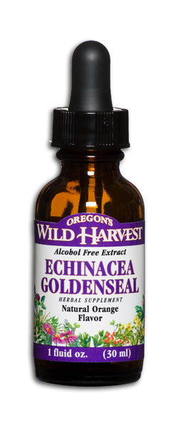 Orange Echinacea/Goldenseal GL