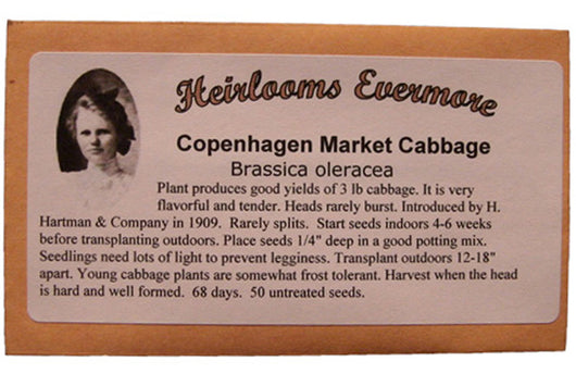 Copenhagen Market Cabbage