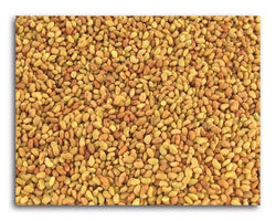 Alfalfa Seeds, Organic