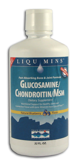 Gluc/Chond/MSM, Blueberry Flavor