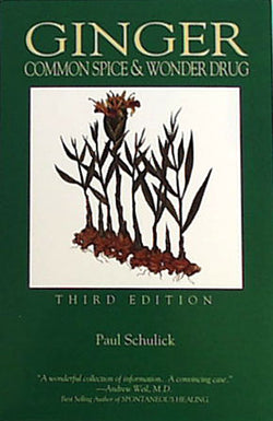 Ginger, Common Spice & Wonder Drug