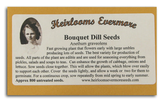 Bouquet Dill Seeds