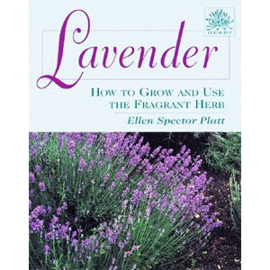 Lavender How to Grow/Use