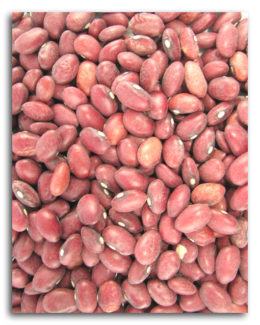 Red Beans (small)