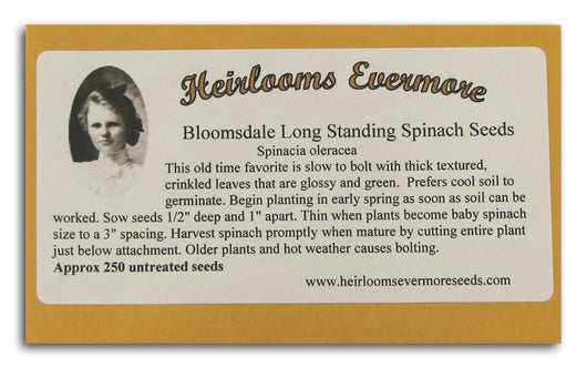 Bloomsdale Long Standing Spinach See