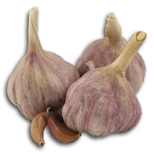 Fresh Garlic, Organic