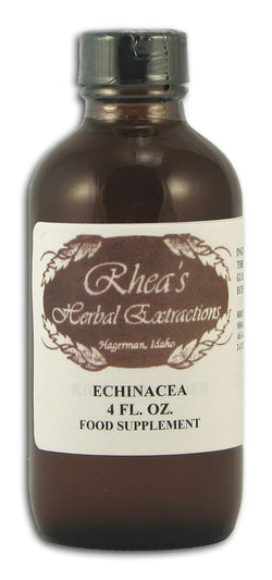 Echinacea
